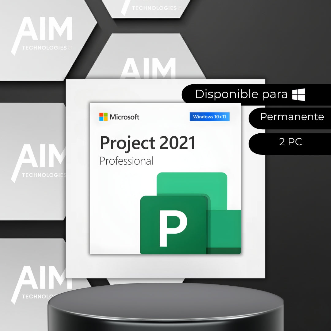 Project 2021 Professional 2 PC/User